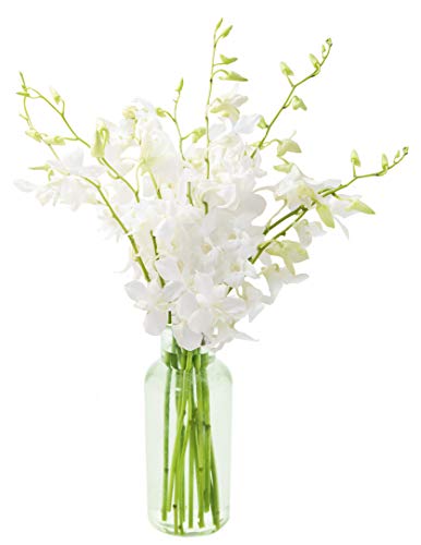 Image of KaBloom-10 White Orchid Bouquet,Flowers for Valentine, Mother's Day