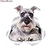 RSZHHL Sticker de Carro FTC-1076 3D Super Schnauzer Perro Sticke Pegatina de Coche para Pared de Coche baño habitación de Chico Equipaje monopatín portátil
