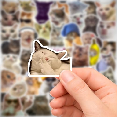 Image of Cat Meme Sticker Pack (50+ Stickers) | Internet Viral Cat Memes | Funny & Cute Designs | Glossy Premium Vinyl | Waterproof Stickers for Laptop & Phone