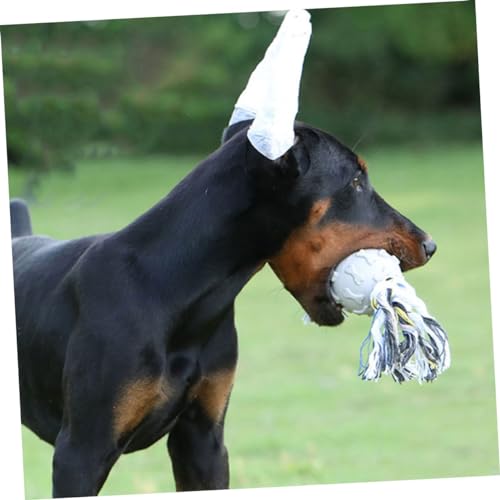 Support oreilles de chien pour maintenir droites en sécurité - 8