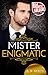 Mister Enigmatic (The Misters)