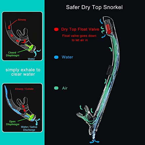 Snorkelfun Dry Snorkeling Gear For Adults, Panoramic Wide View Snorkel Mask, Professional Scuba Mask And Snorkel, Anti-Fog Tempered Glass Diving Snorkel Set (Black Teal) #TOP3