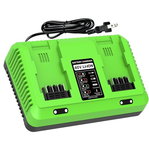 Powilling 40V Dual-Port Replacement for Greenworks Battery Charger Fits 29482 29252 20202 22262 29472 29462 40V G-MAX Battery