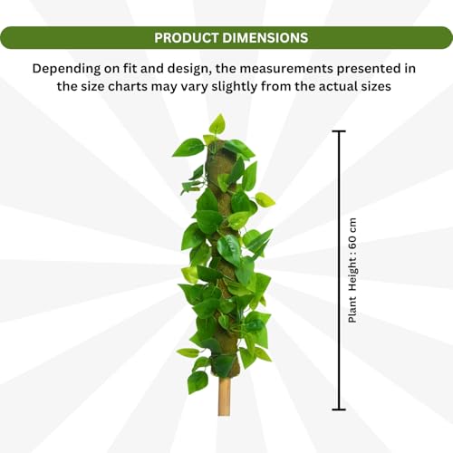 Image of fancymart Artificial Leaves Vine on Moss Stick 60 cm (Without Pot) | Decorative Indoor Plant for Home, Office, Cafe & Restaurant