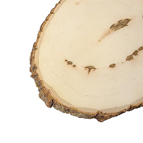 Walnut Hollow 500411 Rustic Basswood Round thumb #4