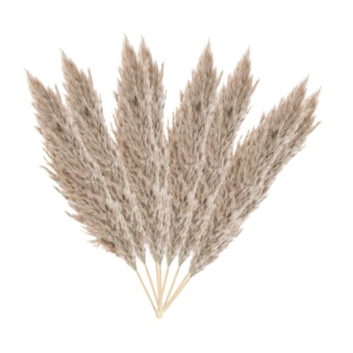 Ramo de Flores Secas Naturales Hemoton 15 piezas con Caja miniatura 7