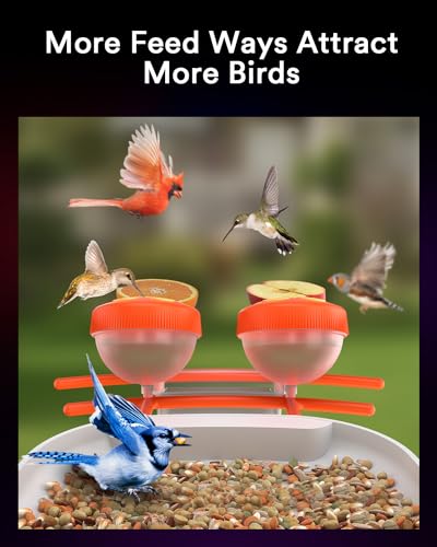 Lumary-Bird-Feeder-with-Camera-DIY-Add-ons-Hummingbird-Feeder-Solar-Powered-Smart-AI-Identify-Auto-Capture-Motion-Detection-Gift-for-Bird-Lover