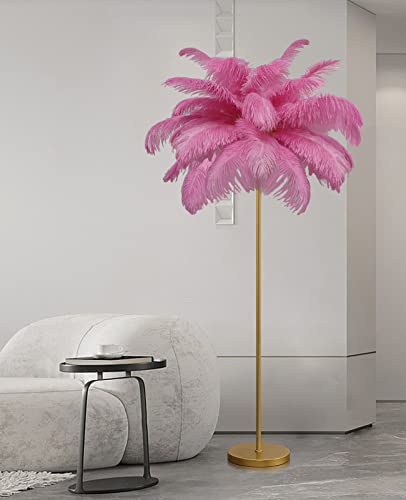 Xwhaob Ostrich Feather Lamp, Standing Lamp With Golden Finish, Dimmable With Foot Switch, Bedroom Standing Lamp, Decorative Lamp For Living Room Bedroom Office Shop Window, G4-Led Bulb (Pink) #TOP6