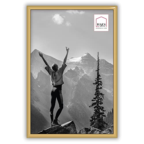 HAES DECO - Cadre Photo/Cadre Mural/Porte Photo Plastique Easy Frame d'or 20x30 cm - EF4G Cover