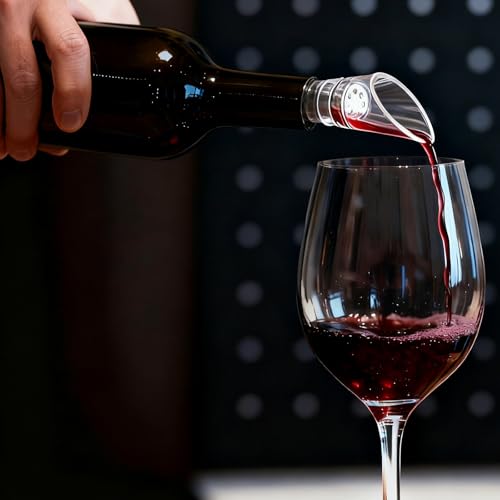 2PCS Wine Aerator Pourer,Wine Air Aerator 2-in-1 Aerating Spout and Decanter Wine Pourer for BBQ,Camping,Party,Restaurant