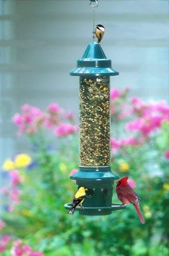 Brome,Squirrel Buster Plus 6\"x6\"x28\" (w/hanger) Wild Bird Feeder with Cardinal Ring and 6 Feeding Ports, 5.1lb Seed Capacity, 2 Pack