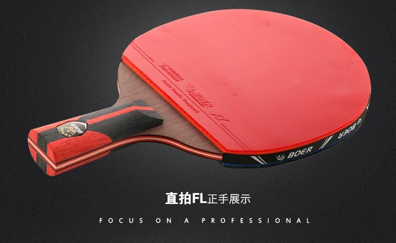 练习球拍时尚横拍乒乓球拍初学训练乒乓球拍套装博力王子 (直拍)