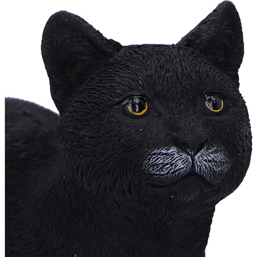 Nemesis Now Moonlight Watcher - 15cm Black Cat Ornament, Cast in Finest Resin, Expertly Hand-Painted - Cosy Home Interiors Nemesis Now Moonlight Watcher - 15cm Black Cat Ornament, Cast in Finest Resin, Expertly Hand-Painted - Image 2