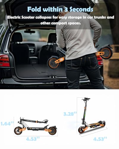 T2 Max 1000W Electric Scooter for Adults with 10 Inch Fat