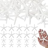 【Lot de deux tailles】: comprend 10 petites (5,8 cm) et 10 grandes (8 cm) en résine de décoration. Cette étoile de mer en résine répond à tous vos besoins de bricolage et de décoration.
