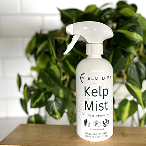 Elm Dirt Fertilizante Líquido para Plantas 32oz miniatura 5