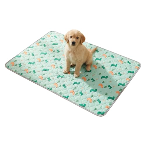 2 Pezzi Tappetini Igienici per Cani, 60*45cm Traversina Cane Lavabile, Protezione Urina Cane Tappetino Riutilizzabili, Tappetino Addestramento Cuccioli, per Cassa, Pavimento, Divano, Auto (Verde)