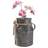Un choix judicieux : un excellent cadeau pour les amis et la famille qui apprécient les décorations vintage et rustiques, qui apporteront une touche d'élégance à leur intérieur, que ce soit à la maison ou au bureau. bidon à lait en métal, vase en forme de seau