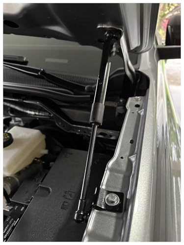 Vérin de capot de qualité pour Ford Ranger T6 carbone violet - 4