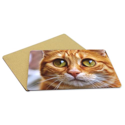 Dessous en liège chat roux grand format lavable pour napperon de table enfant - 5