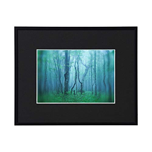 Kenko 額縁 ギャラリー 2L アクリルタイプ アルミフレーム ブラック 日本製 AGY-2L-BK