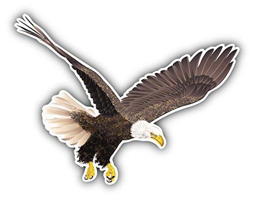 DG Graphics Bald Eagle Art Decor 5'' x 4'' Vinyl Decal Sticker Wall Window Any Smooth Surface