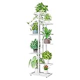 【Diseño perfecto】 En la parte inferior hay una almohadilla redonda para el pie que no solo evita arañazos en el suelo, sino que también ajusta el equilibrio del soporte de plantas.