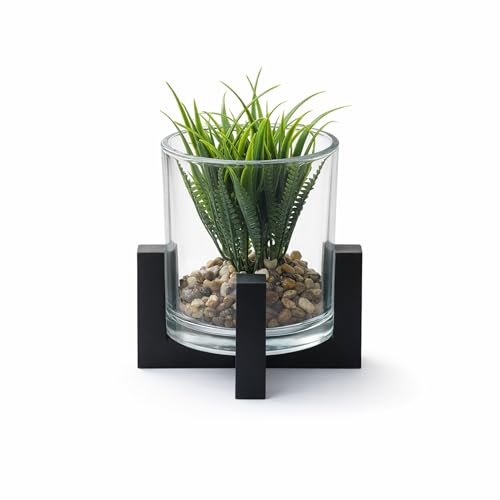 Image of CURATED CART Artificial Plant with Glass Pot for Home Decor, Mini Small Decor Item, Fake Succulent Plant for Office Desk Home Decoration, Pebbles & Wooden Stand Included, 12cm Indoor Decor