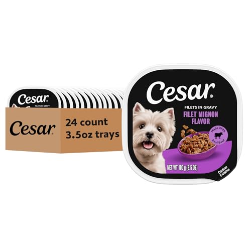 Image of Cesar Filets in Gravy Wet Dog Food, Filet Mignon Flavor, 3.5 oz, 24 Count | Real beef, easy to digest, no fillers, no added sugar, no artificial flavors, slow-cooked tender texture, easy peel trays