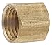 1/2" FNPT Brass Cap