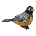 BANBERRY DESIGNS Robin Bird Figurines - Birds Decoration - Set of 3 Styles - Hand Painted Fine Details - Home Decorations - Durable Polystone - 3