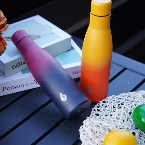 Image of BJPKPK 25oz Insulated Stainless Steel Water Bottles Reusable Metal Travel Sports Water Bottle Keep Cold and Hot,Laguna