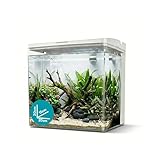 AQPET NEYA Acquario da Scrivania con Filtro e Pompa Inclusi, LED 5 Modalità e Porte USB – Mini Acquario in Acrilico con Coperchio Apribile, Ideale per Betta, Caridine e Piante Acquatiche 5lt (Bianco)