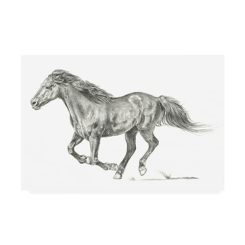Jennifer Paxton Parker 'Wild Horse Portrait I' Canvas Art