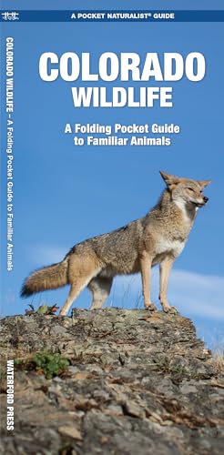 Colorado Wildlife (Nature Observation North America)