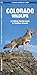 Colorado Wildlife (Nature Observation North America)