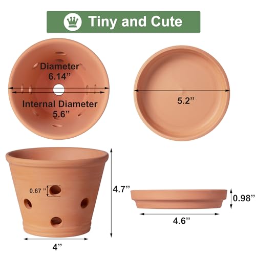 Terrakotta-Orchideentöpfe mit Löchern und Untersetzern, 15,2 cm, 3 Stück, kleine Ton-Orchideen-Übertöpfe zum Umtopfen… – Ansicht 2