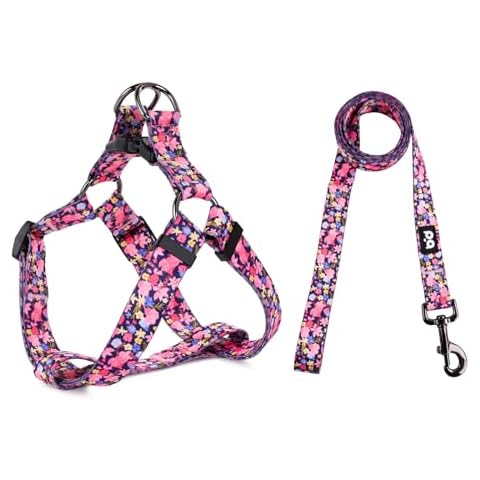 QQPETS Adjustable Dog Harness and Leash Set Cover