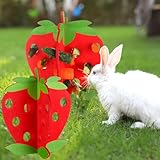 Maxcheck Pet Toy Wooden Food Dispensers for Guinea Pigs Enrichment Toys Interactive Hamster Chinchilla Bunny Hay Holder Vegetable Rack for Foraging Mental Stimulation Decor (Strawberry)