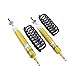 Eibach Sport Suspension B12 Pro-Kit Focus III ST E90-35-023-11-22