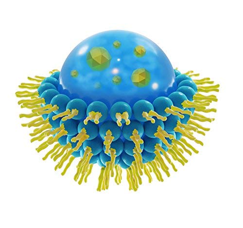 Laxinon Liposomal Vitamin C Liquid | 1000 mg | Natural Immune System Booster| Antioxidants Support |Faster Absorption | Great Taste |No GMO,Soy,Gluten | Double Quantity 250 ml | Include Measure Spoon