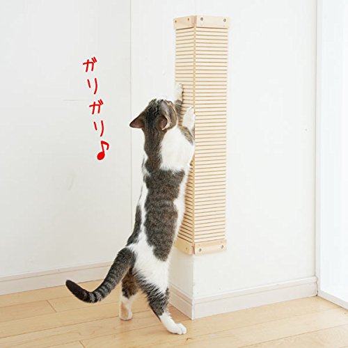 Amazon | 壁に貼れる爪とぎボード 専用替えボード | PEPPY(ペピイ