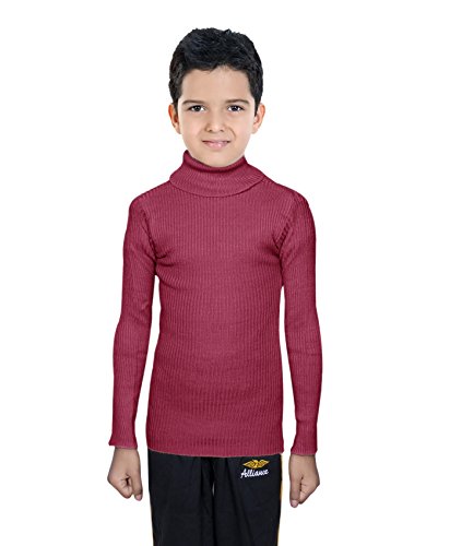 Image of IndiWeaves Boys' T-Shirt (Pack of 3) (10110-020405-IW-P3-20 Assorted 2-3 Years)