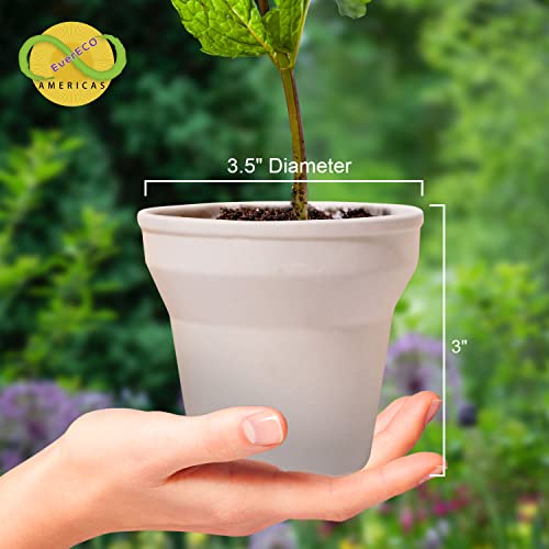 EverECO Vasos de plantas biodegradáveis Americas de 9 cm (pacote com 16): Kit de sementes ecologicam