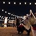 Enbrighten Classic Warm White String Lights, 48ft Black Cord, 24 Shatterproof Acrylic Bulbs, Weatherproof, Outdoor String Lights, 31664