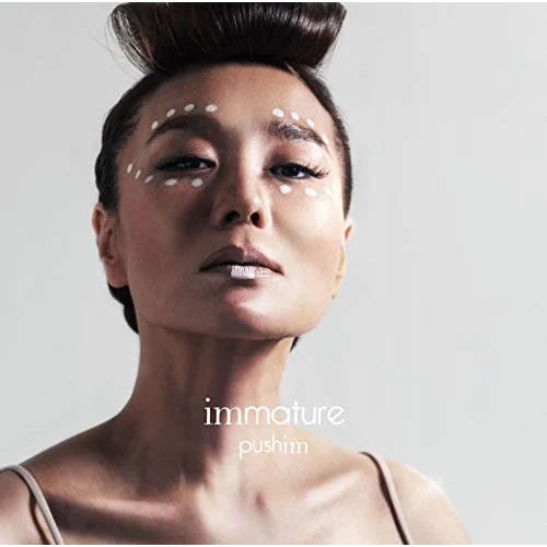 世界の何処かで / PUSHIM