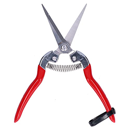 Ciseaux à Fruits et Légumes en Acier Inoxydable – Ciseaux pour la Récolte du Raisin, des Herbes et du Poivre – Outil de Jardinage Efficace pour un Usage Domestique et