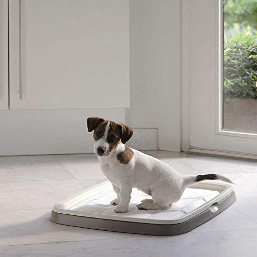 Savic Puppy Trainer Hundetoilette für Welpen, Starter-Set, Toilette mit 7 Pads, Größe M, 46,5 x 35 x 4 cm