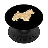 NORWICH TERRIER