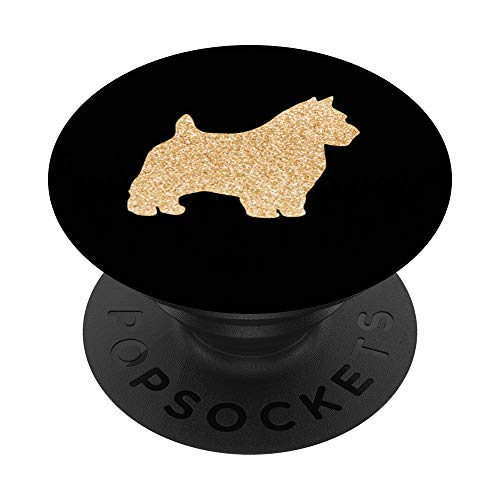 NORWICH TERRIER